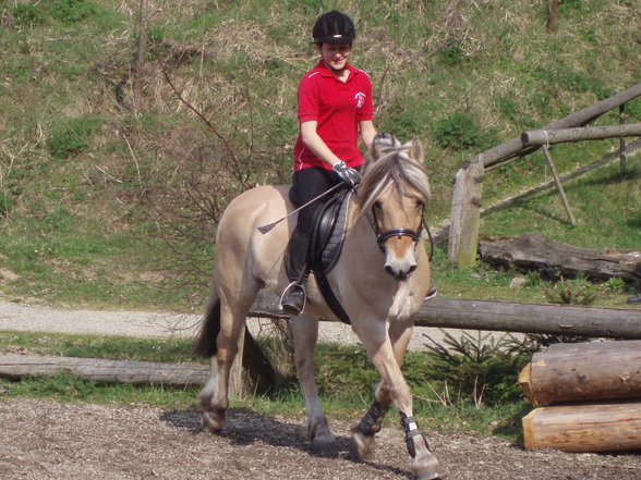 Gelände-Training - 