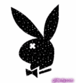 a playboy hasal!!!!!!!!!!!! - 