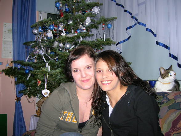 Silvester - 