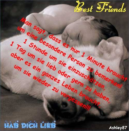 *~'-gute Sprüche & liebe Bilder - 