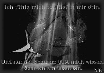 *~'-gute Sprüche & liebe Bilder - 