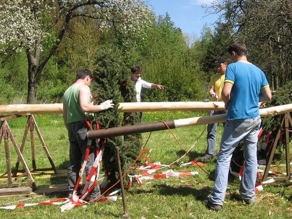 maibaum - 