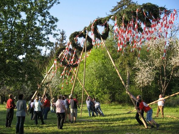 maibaum - 