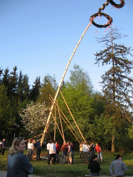 maibaum - 