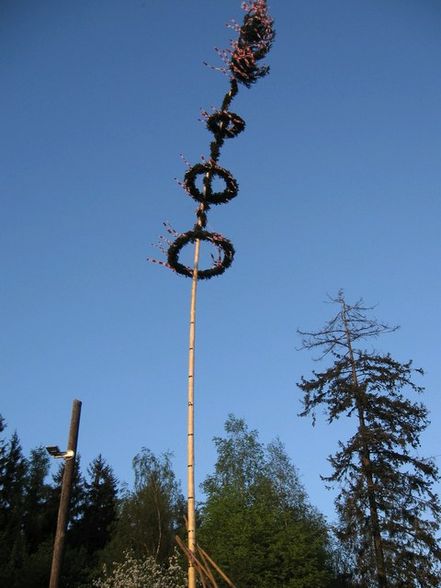 maibaum - 