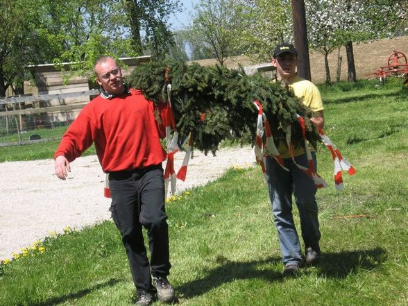 maibaum - 