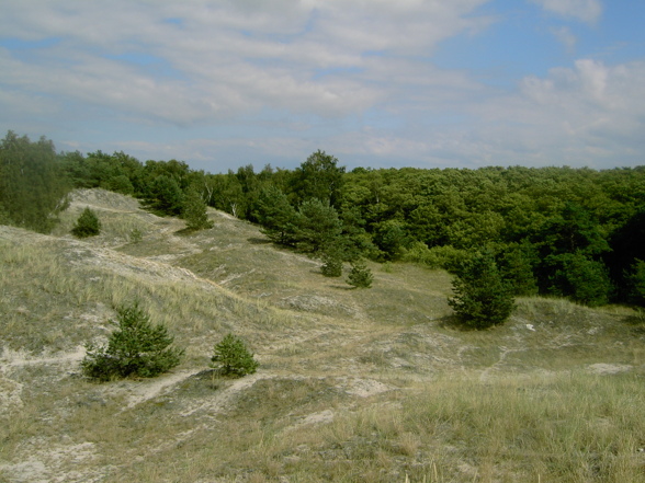 Baltiksea (Ostsee Polen) - 