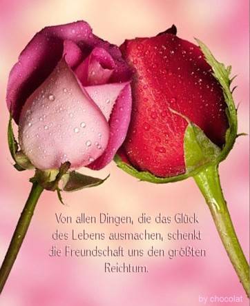 liebe & freundschaft - 