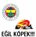 fenerbahce - 