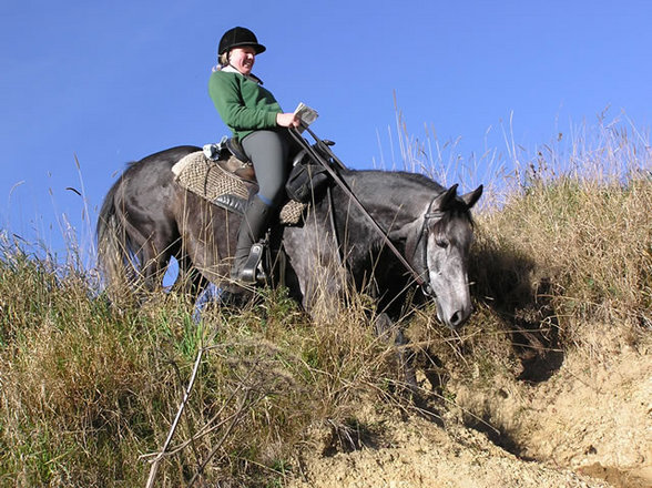 Wanderreiten im Mühl4tel - 