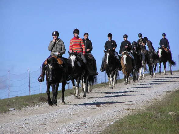 Wanderreiten im Mühl4tel - 