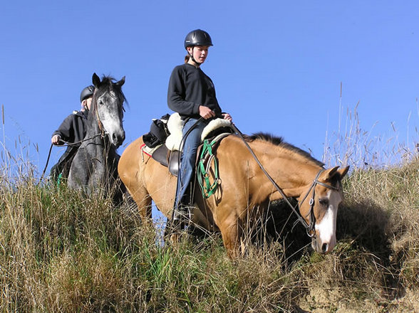 Wanderreiten im Mühl4tel - 