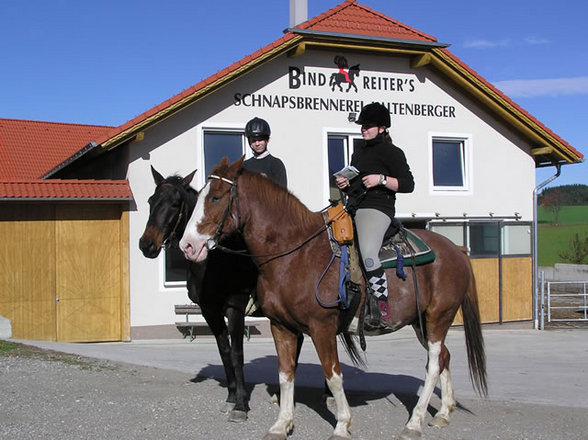 Wanderreiten im Mühl4tel - 