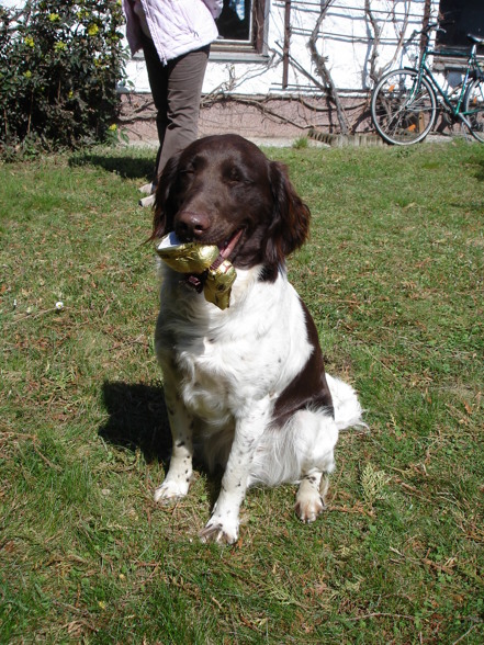 Ostern 2007 in Bayern - 