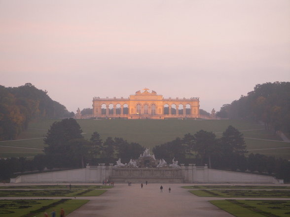 wien wien nur du allein - 