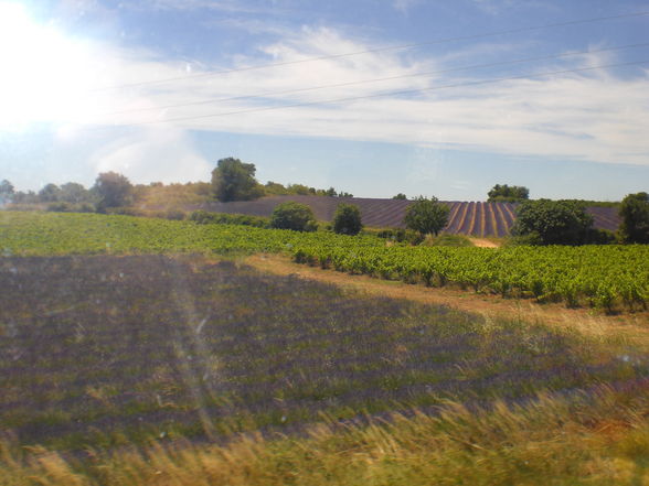 FRANKREICH -Provence 2009 =) - 