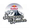 Red Bull & Shark - 