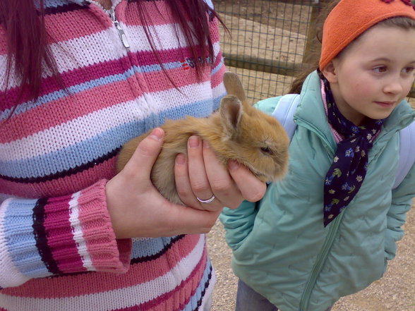 Statt Haag Tierpark - 