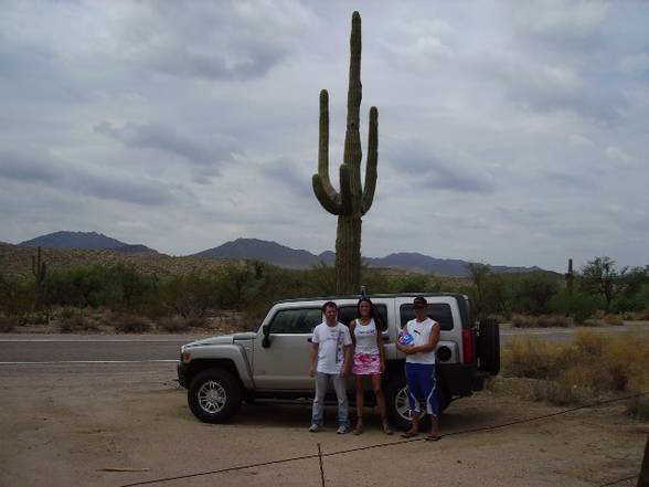 Arizona 2006 - 