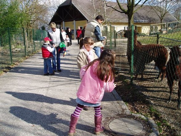 meine kleine maus - 