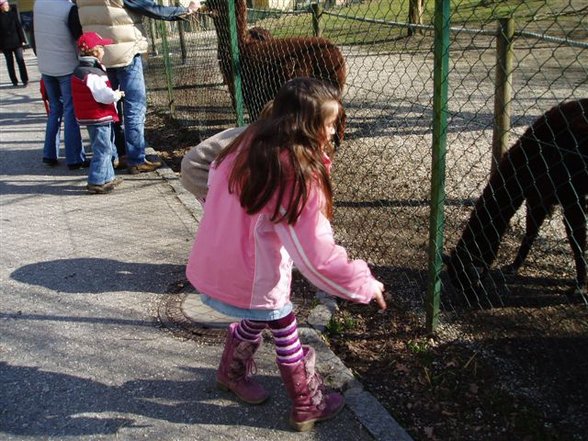 meine kleine maus - 