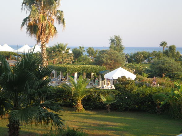 beLeK 09 - 