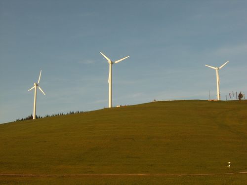 Ausflug in luftigen Höhen - 