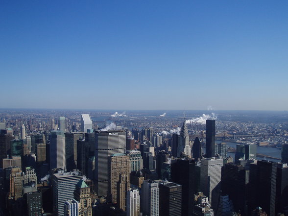 New York the big appel - 