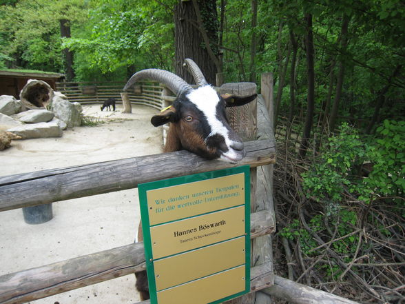 Tierpark Schönbrunn!! - 