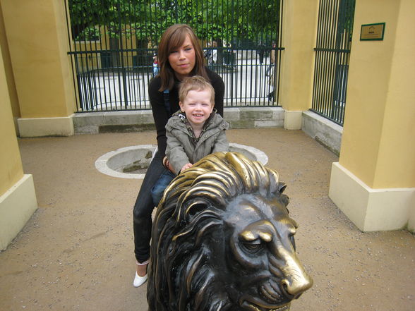 Tierpark Schönbrunn!! - 