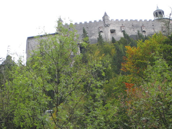 Burg Hohenwerfen - 