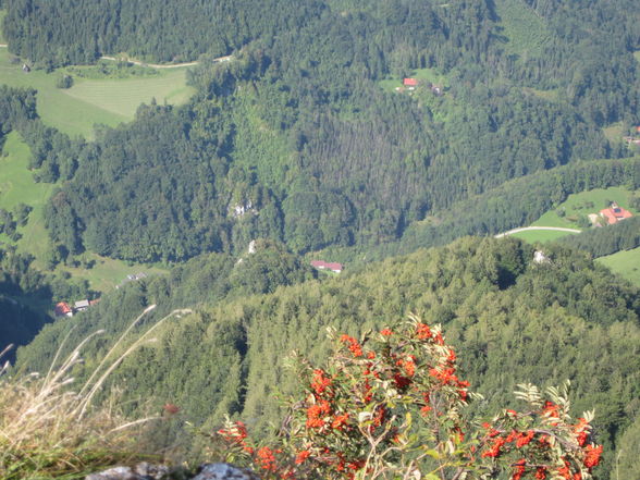 Schoberstein / Ternberg - 