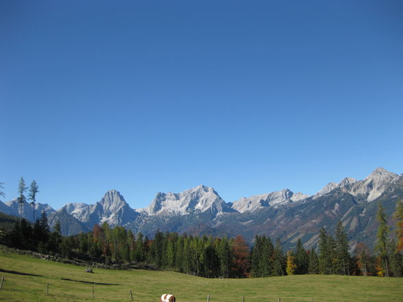 Schoberstein / Ternberg - 