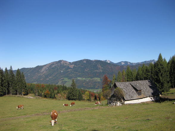 Schoberstein / Ternberg - 