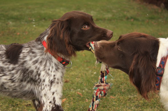 Cora&Luna - 