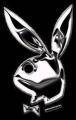 Playboybunny - 