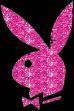 Playboybunny - 