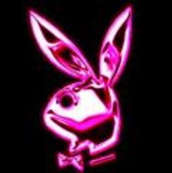 Playboybunny - 