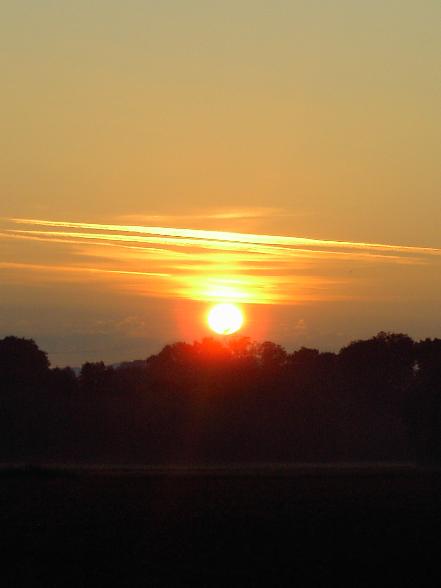 Sonnenuntergänge!! - 