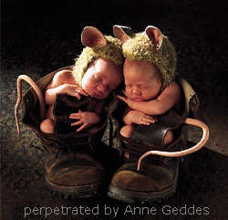 Annegeddes - 