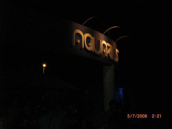 kalypso/aquarius/papaya 2008 - 