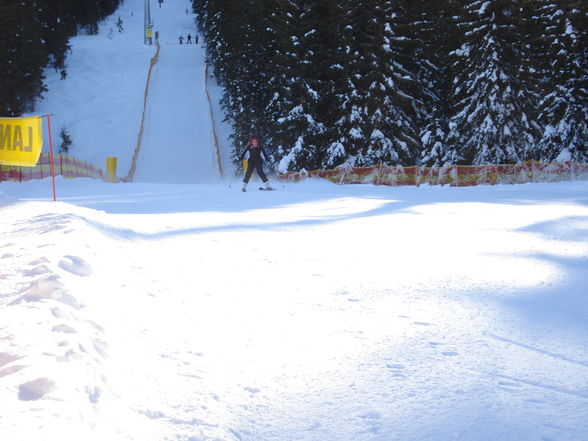 Skifoarn in Schladming 09 - 