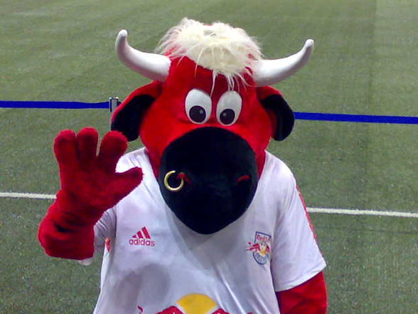 Red Bull Salzburg - 