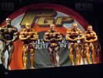 Profigrandprix IFBB in Graz - 