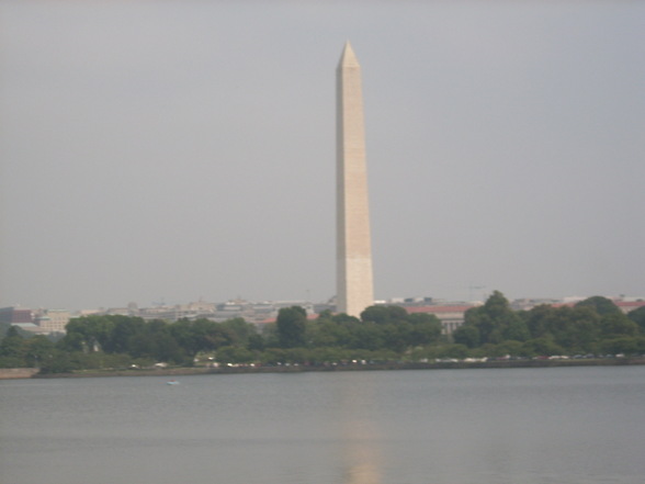 *~*Washington*~* - 