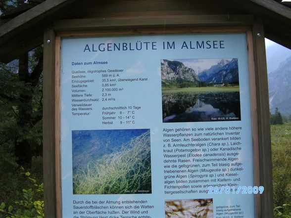 Quad fahren nach Almsee - 