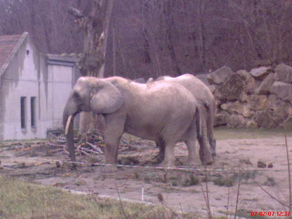 Wir waren im Zoo! - 