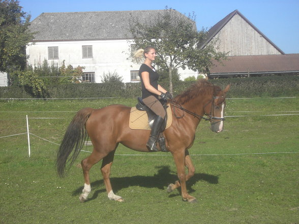 Reitstall Pichler - 