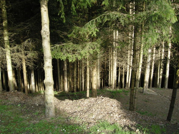 unterwegs mit dem wanderschäfer - 