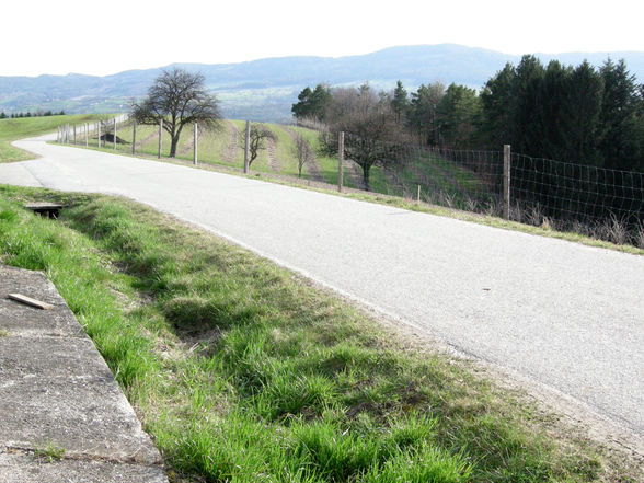 unterwegs mit dem wanderschäfer - 